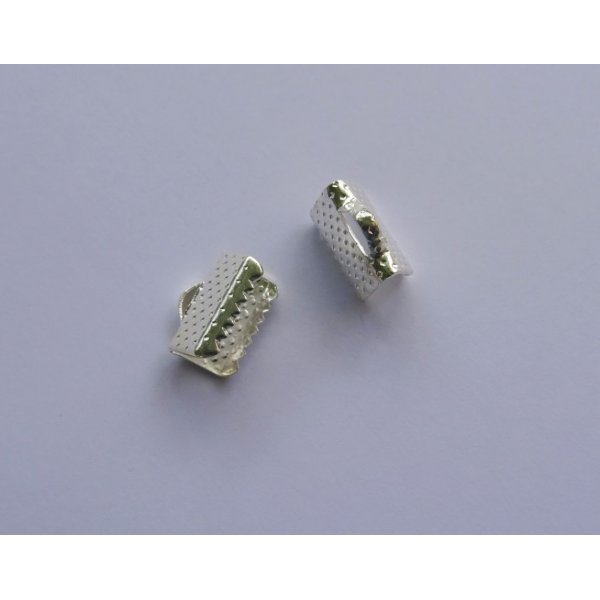 Klemtips zilver 10 mm x 2