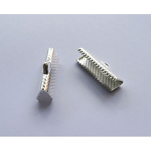 Klemtips zilver 20 mm x 2