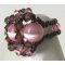 Kit bague Bréhat chocolat