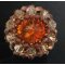 Notice de bague shetland ambre