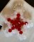 Hangerset Ster rood en wit