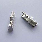 Klemtips zilver 20 mm x 2