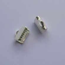 Klemtips zilver 10 mm x 2
